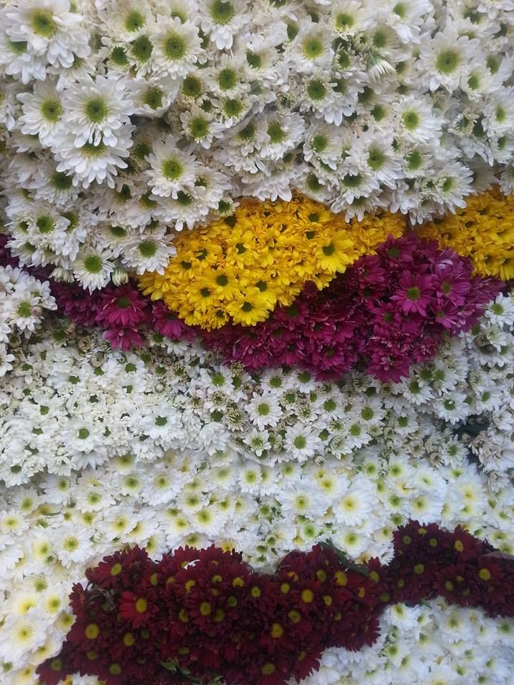 Toptan Çiçek Fiyatları ve Satışı Hakkında Genel Bilgiler